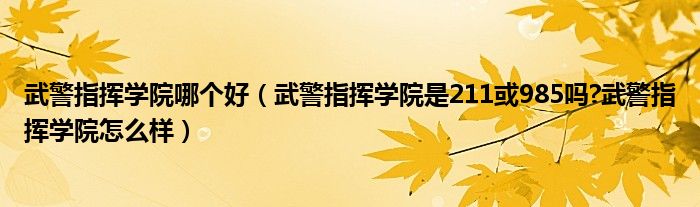武警指挥学院哪个好（武警指挥学院是211或985吗?武警指挥学院怎么样）