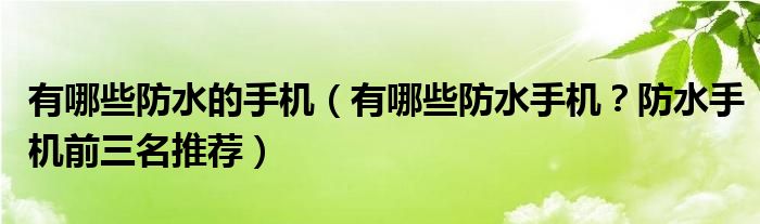 有哪些防水的手机（有哪些防水手机？防水手机前三名推荐）