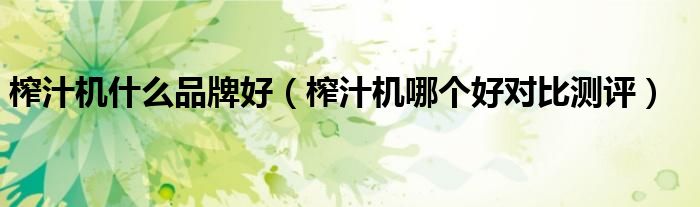 榨汁机什么品牌好（榨汁机哪个好对比测评）