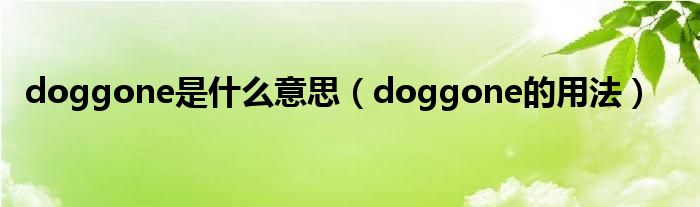 doggone是什么意思（doggone的用法）