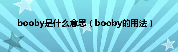 booby是什么意思（booby的用法）