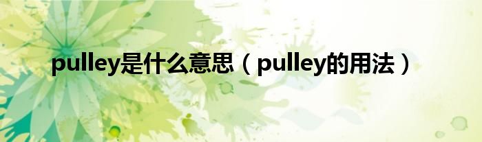 pulley是什么意思（pulley的用法）