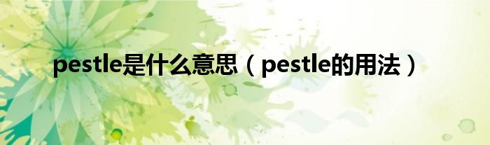pestle是什么意思（pestle的用法）