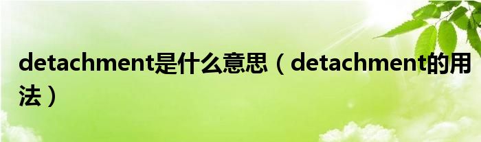 detachment是什么意思（detachment的用法）
