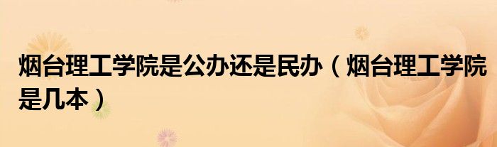 烟台理工学院是公办还是民办（烟台理工学院是几本）