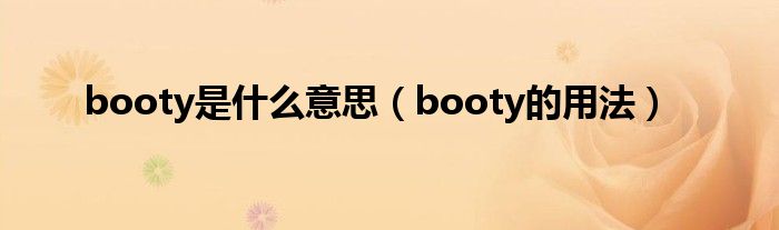 booty是什么意思（booty的用法）