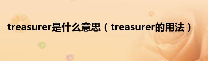 treasurer是什么意思（treasurer的用法）