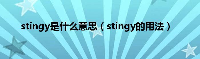 stingy是什么意思（stingy的用法）