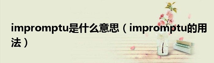 impromptu是什么意思（impromptu的用法）