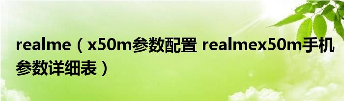 realme（x50m参数配置 realmex50m手机参数详细表）