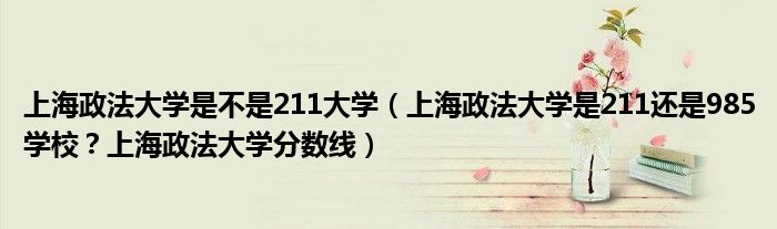 上海政法大学是不是211大学（上海政法大学是211还是985学校？上海政法大学分数线）