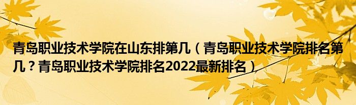 青岛职业技术学院在山东排第几（青岛职业技术学院排名第几？青岛职业技术学院排名2022最新排名）