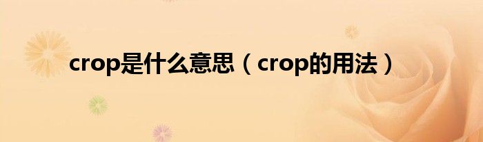 crop是什么意思（crop的用法）