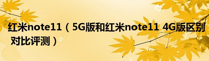 红米note11（5G版和红米note11 4G版区别 对比评测）