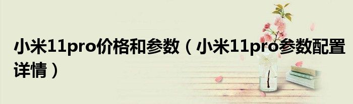 小米11pro价格和参数（小米11pro参数配置详情）