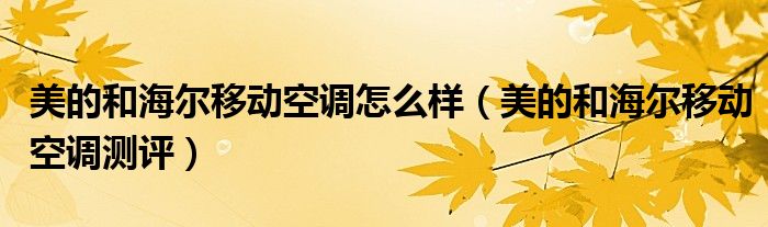 美的和海尔移动空调怎么样（美的和海尔移动空调测评）
