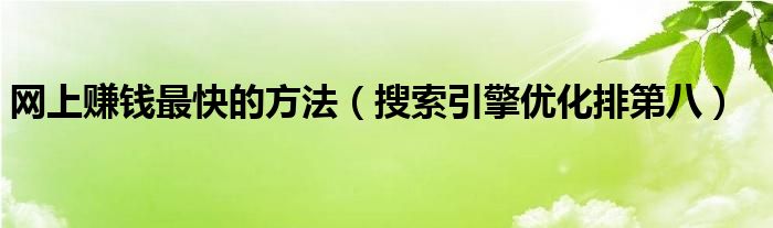 网上赚钱最快的方法（搜索引擎优化排第八）