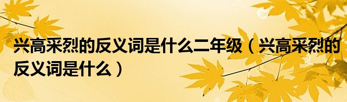 兴高采烈的反义词是什么二年级（兴高采烈的反义词是什么）