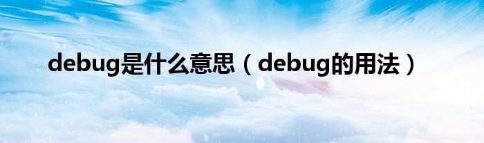 debug是什么意思（debug的用法）