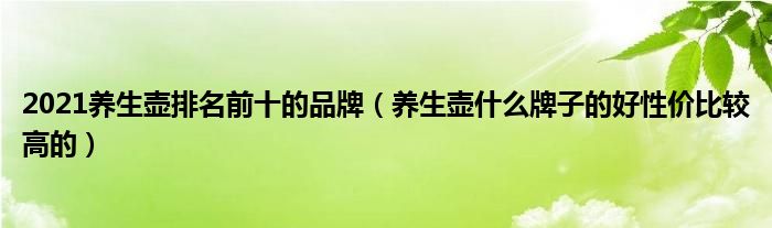 2021养生壶排名前十的品牌（养生壶什么牌子的好性价比较高的）