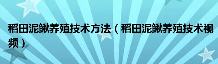 稻田泥鳅养殖技术方法（稻田泥鳅养殖技术视频）