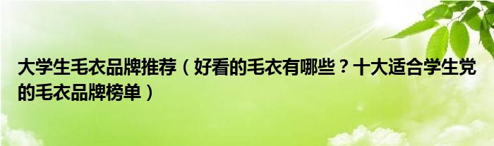 大学生毛衣品牌推荐（好看的毛衣有哪些？十大适合学生党的毛衣品牌榜单）