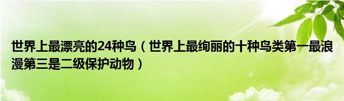 世界上最漂亮的24种鸟（世界上最绚丽的十种鸟类第一最浪漫第三是二级保护动物）