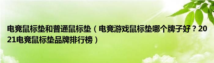 电竞鼠标垫和普通鼠标垫（电竞游戏鼠标垫哪个牌子好？2021电竞鼠标垫品牌排行榜）