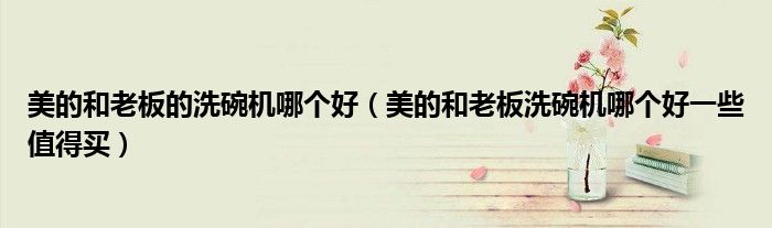 美的和老板的洗碗机哪个好（美的和老板洗碗机哪个好一些值得买）