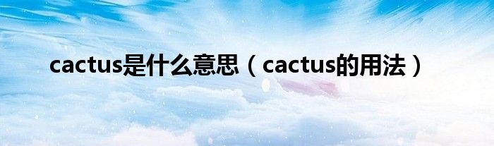 cactus是什么意思（cactus的用法）