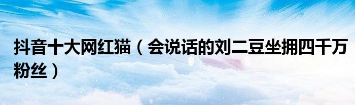 抖音十大网红猫（会说话的刘二豆坐拥四千万粉丝）