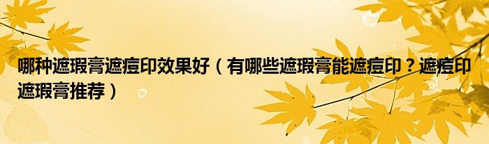 哪种遮瑕膏遮痘印效果好（有哪些遮瑕膏能遮痘印？遮痘印遮瑕膏推荐）