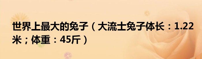 世界上最大的兔子（大流士兔子体长：1.22米；体重：45斤）