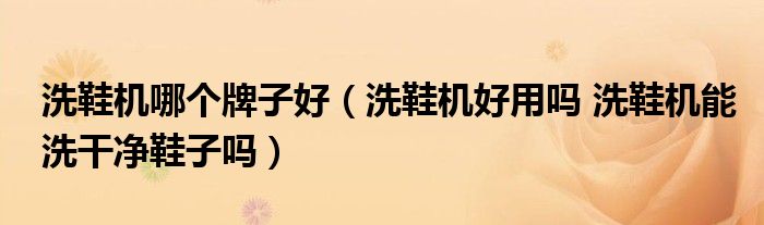 洗鞋机哪个牌子好（洗鞋机好用吗 洗鞋机能洗干净鞋子吗）