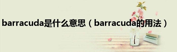 barracuda是什么意思（barracuda的用法）