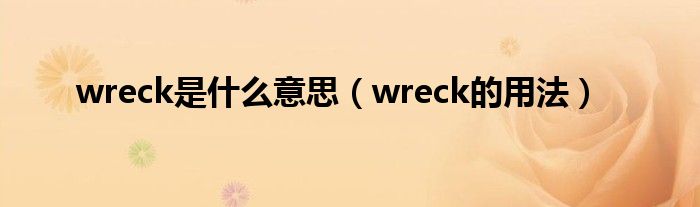 wreck是什么意思（wreck的用法）