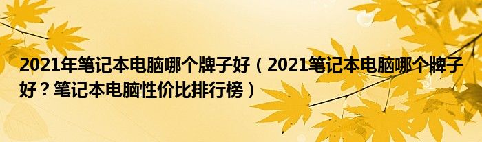 2021年笔记本电脑哪个牌子好（2021笔记本电脑哪个牌子好？笔记本电脑性价比排行榜）