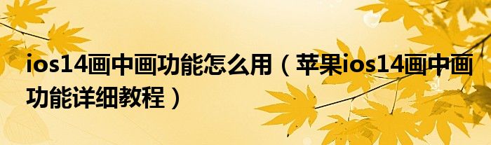 ios14画中画功能怎么用（苹果ios14画中画功能详细教程）