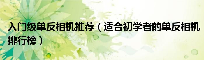 入门级单反相机推荐（适合初学者的单反相机排行榜）