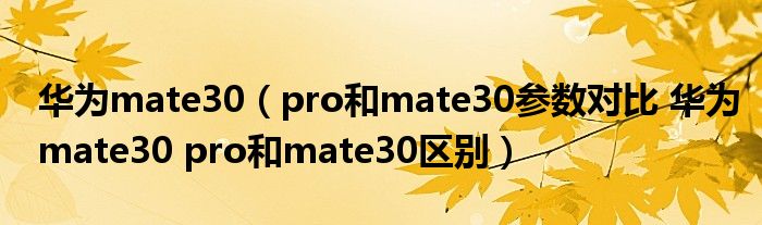 华为mate30（pro和mate30参数对比 华为mate30 pro和mate30区别）