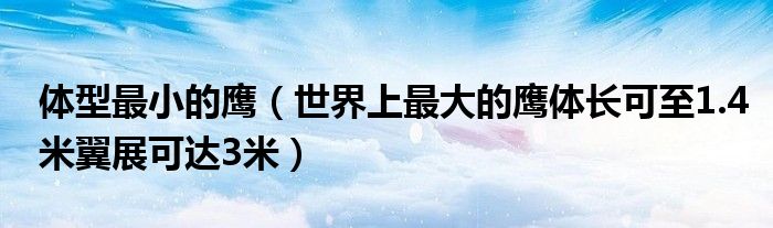 体型最小的鹰（世界上最大的鹰体长可至1.4米翼展可达3米）