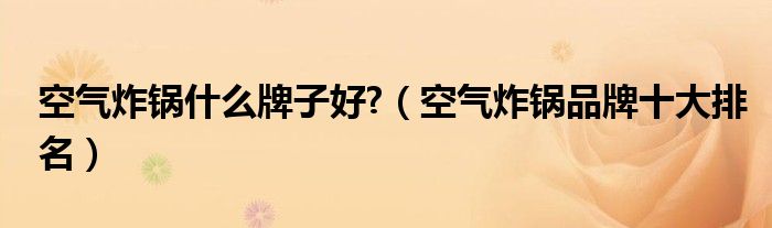 空气炸锅什么牌子好?（空气炸锅品牌十大排名）