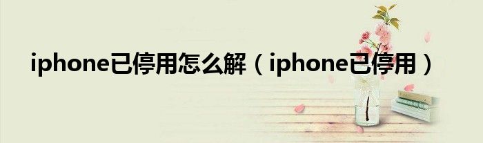 iphone已停用怎么解（iphone已停用）