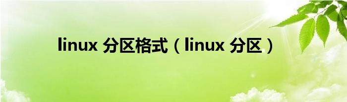 linux 分区格式（linux 分区）