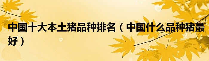 中国十大本土猪品种排名（中国什么品种猪最好）