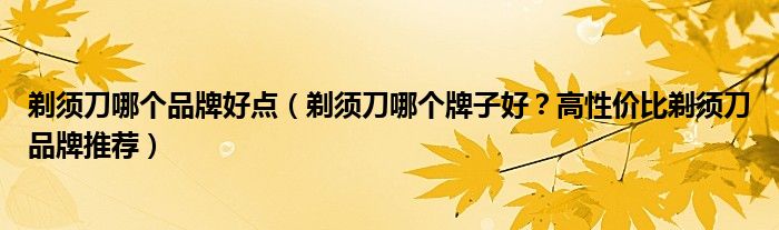 剃须刀哪个品牌好点（剃须刀哪个牌子好？高性价比剃须刀品牌推荐）
