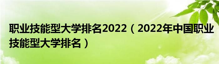 职业技能型大学排名2022（2022年中国职业技能型大学排名）