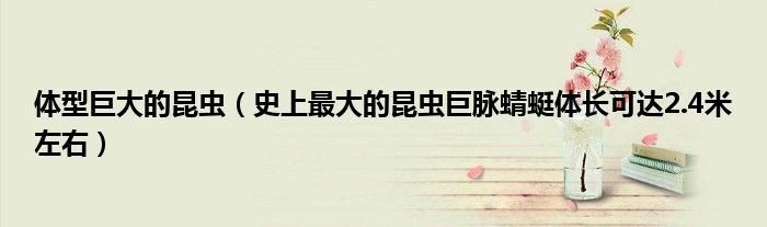 体型巨大的昆虫（史上最大的昆虫巨脉蜻蜓体长可达2.4米左右）