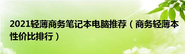 2021轻薄商务笔记本电脑推荐（商务轻薄本性价比排行）