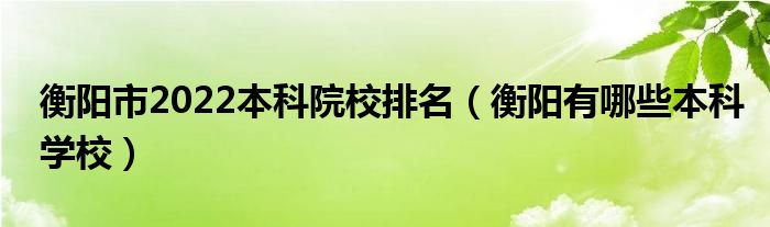 衡阳市2022本科院校排名（衡阳有哪些本科学校）